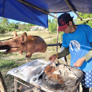Rožněné prasátko potkáte třeba i na stánku mezi městy