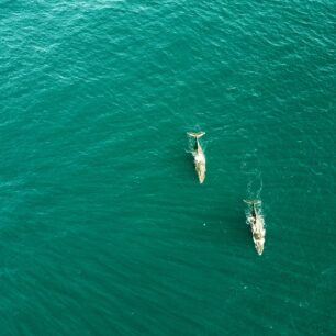 Martin Vlk: Autem kolem Austrálie se zastávkou v Indonésii