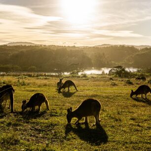 Martin Vlk: Autem kolem Austrálie se zastávkou v Indonésii
