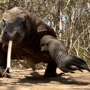 Martin Vlk: Autem kolem Austrálie se zastávkou v Indonésii