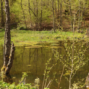 Krajina zeleného Podkarpatí