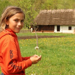 Sanok, skanzen, karpatská vesničkaSanok, skanzen, karpatská vesnička