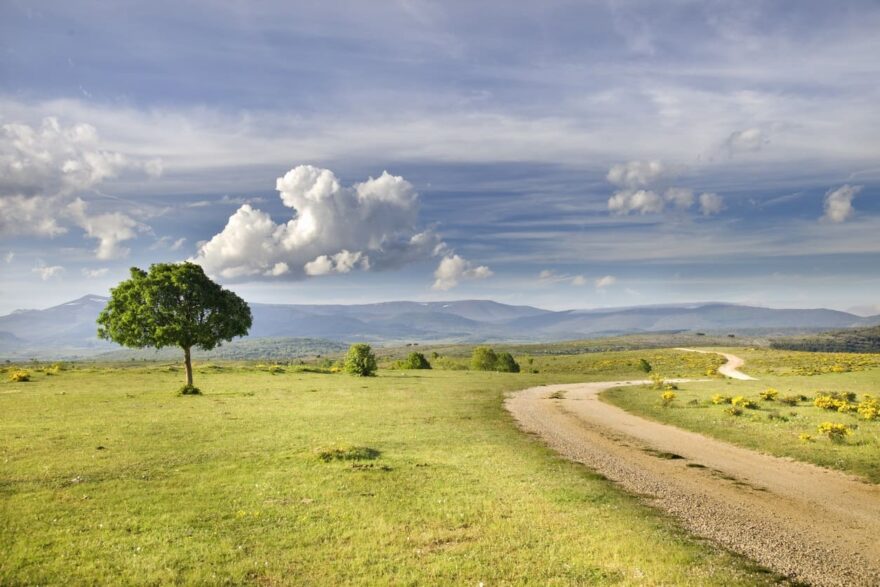 Palencia krajina