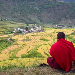 Chimi Lhakhang