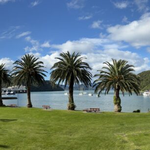 Picton