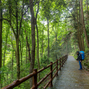 Zhangjiajie national forest park