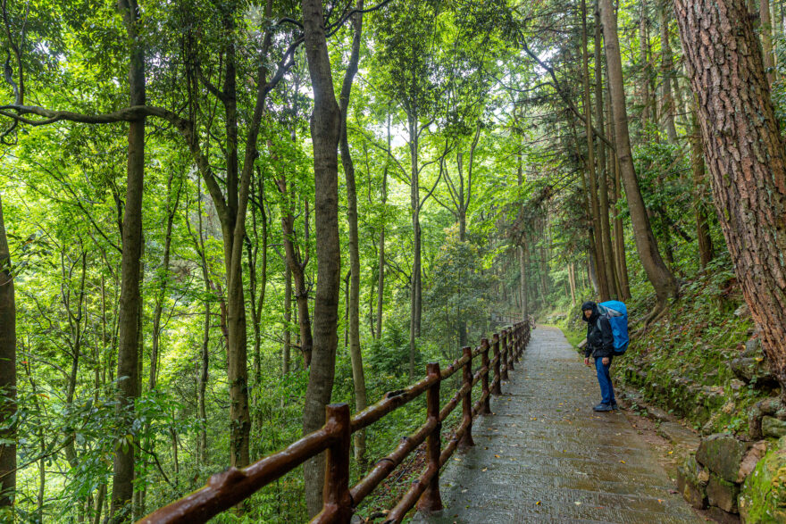 Zhangjiajie national forest park