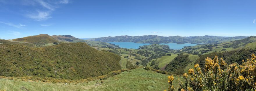Akaroa