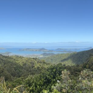 Coromandel
