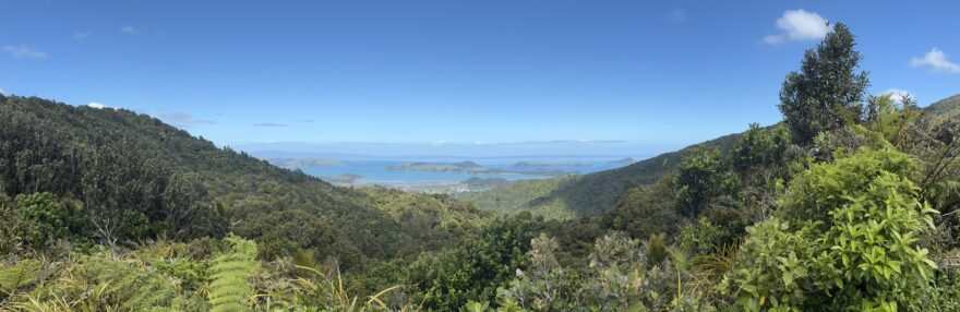 Coromandel