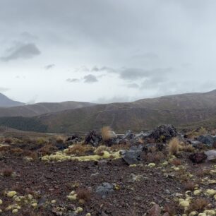 Mt.Ngauruhoe (2.291 m), Mt. Ruapehu (2.797 m)