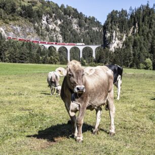 Landwasser World. Foto: Switzerland Tourism