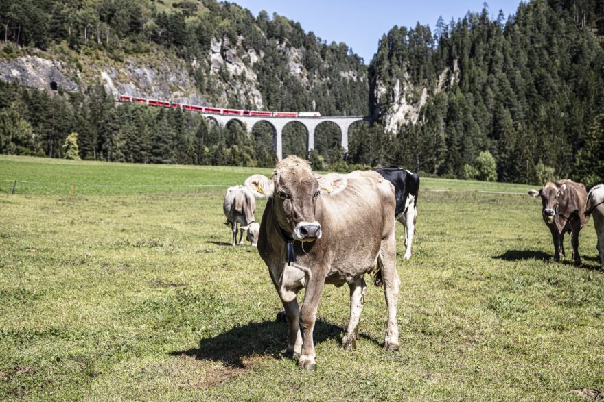 Landwasser World. Foto: Switzerland Tourism