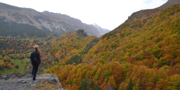 Francouzská cesta v Aragonu: Brána na Camino de Santiago