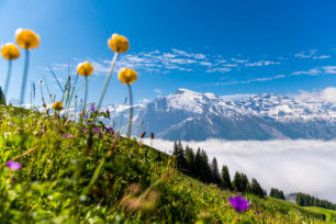 Letní panoramata © Roger Grütter