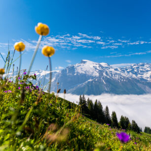 Letní panoramata © Roger Grütter