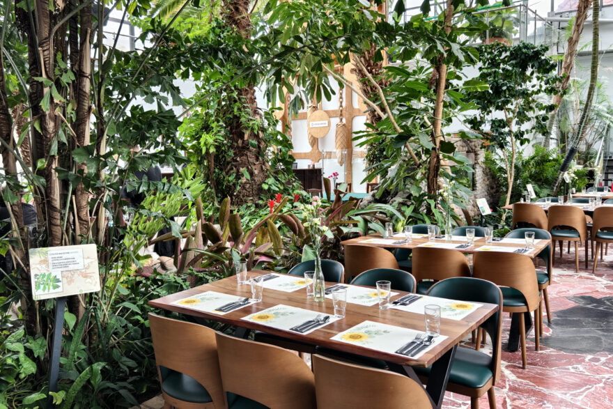 Restaurace v Zelenohorském palmovém skleníku. Foto: Ladi Tichá