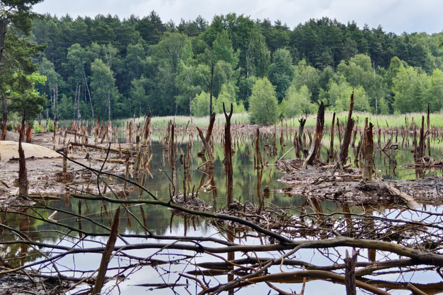 Jezírko v poklesové pánvi po těžbě v Geoparku Mužakovský vrásový oblouk. Foto: Ladi Tichá