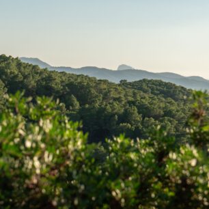 Ibiza jinak: ostrov hippies, starých tradic a chutí Středomoří. Foto: Turismo Ibiza