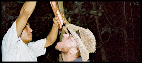 Výtečný kajmaní guláš, jen majoránka chyběla