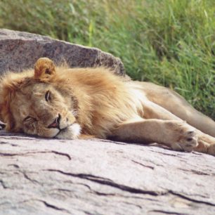 Zážitky z Tanzanie - 1. díl