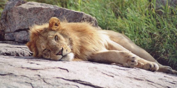 Zážitky z Tanzanie &#8211; 1. díl