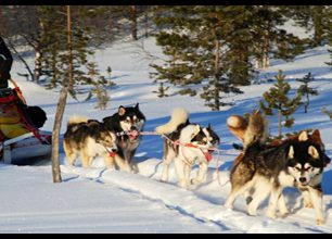 Lemmenjoki - pohádkový kraj zlata a sobů