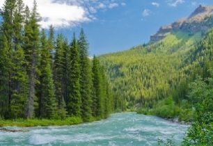 Snake River - 600 km na kánoích kanadskou divočinou