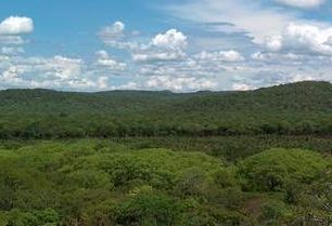 Výlet do města Livingstone a na Viktoriny vodopády