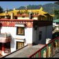 McLeod Ganj: muzeum tibetského exilu