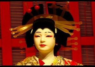 Co nám říkají kvetoucí sakury?