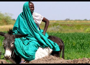 Rohatí muži s oháňkami tančí Kambalu