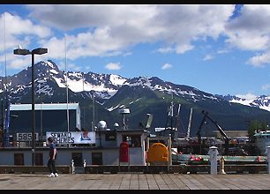 63 dní mezi kousky lososů