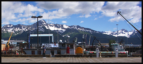 63 dní mezi kousky lososů