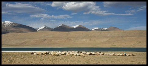 Pastviny, kozy, ženy tkají koberce a muži hlídají stáda. To je tradiční nomádský život