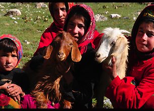 Na hostině s tádžickými pastevci