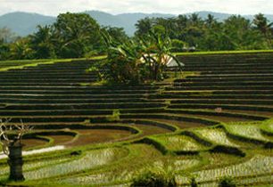 Život na balijském venkově je stále závislý na starých pověrách a kouzlech