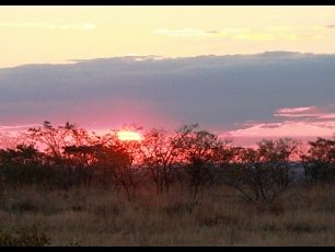 Výprava do Africké buše