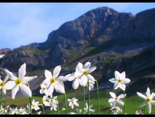 Kvetoucím Balkánem aneb jarní toulky Černou Horou, Bosnou a Hercegovinou