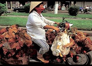 NEKONEČNÁ SOUTĚŽ: Co uveze vietnamská motorka? SOUTĚŽ UKONČENA