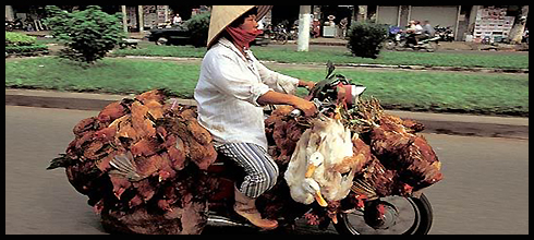 NEKONEČNÁ SOUTĚŽ: Co uveze vietnamská motorka? SOUTĚŽ UKONČENA