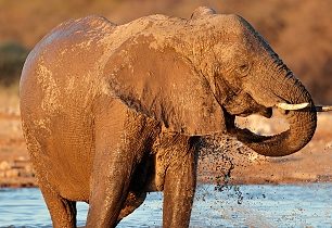 JAR a okolí: Nabídka je veliká