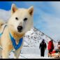Ammassalik Backcountry Camp: Lyžařská výprava do Grónska byla úspěšná