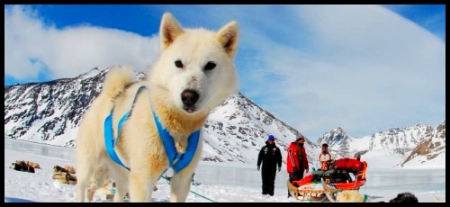 Ammassalik Backcountry Camp: Lyžařská výprava do Grónska byla úspěšná