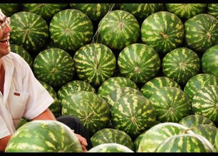 NEKONEČNÁ SOUTĚŽ: Co rozesmálo melounáře? SOUTĚŽ UKONČENA