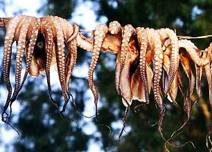 Kyklady: perly Egejského moře