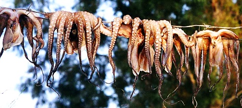 Kyklady: perly Egejského moře