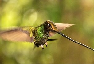 Za vrabčáky a bandity do Kolumbie