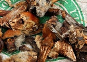 NEKONEČNÁ SOUTĚŽ: Šokovalo vás někdy zboží na tržištích? SOUTĚŽ UKONČENA