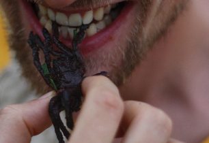 SOUTĚŽ: Napište nám, co nejzajímavějšího jste na svých cestách jedli, a vyhrajte hromadu jídla značky Travellunch na váš další výlet! SOUTĚŽ UKONČENA